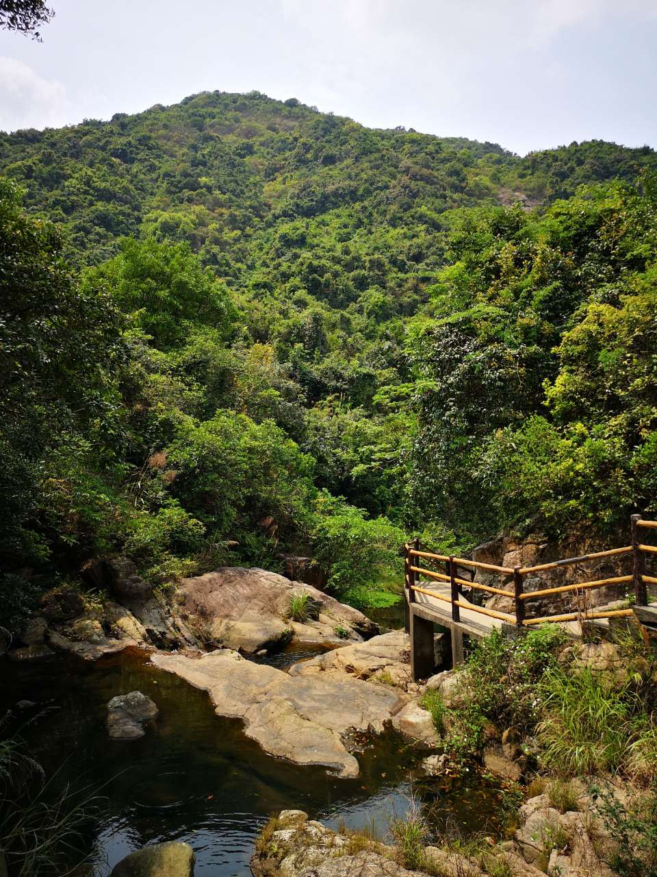 马峦山郊野公园碧岭