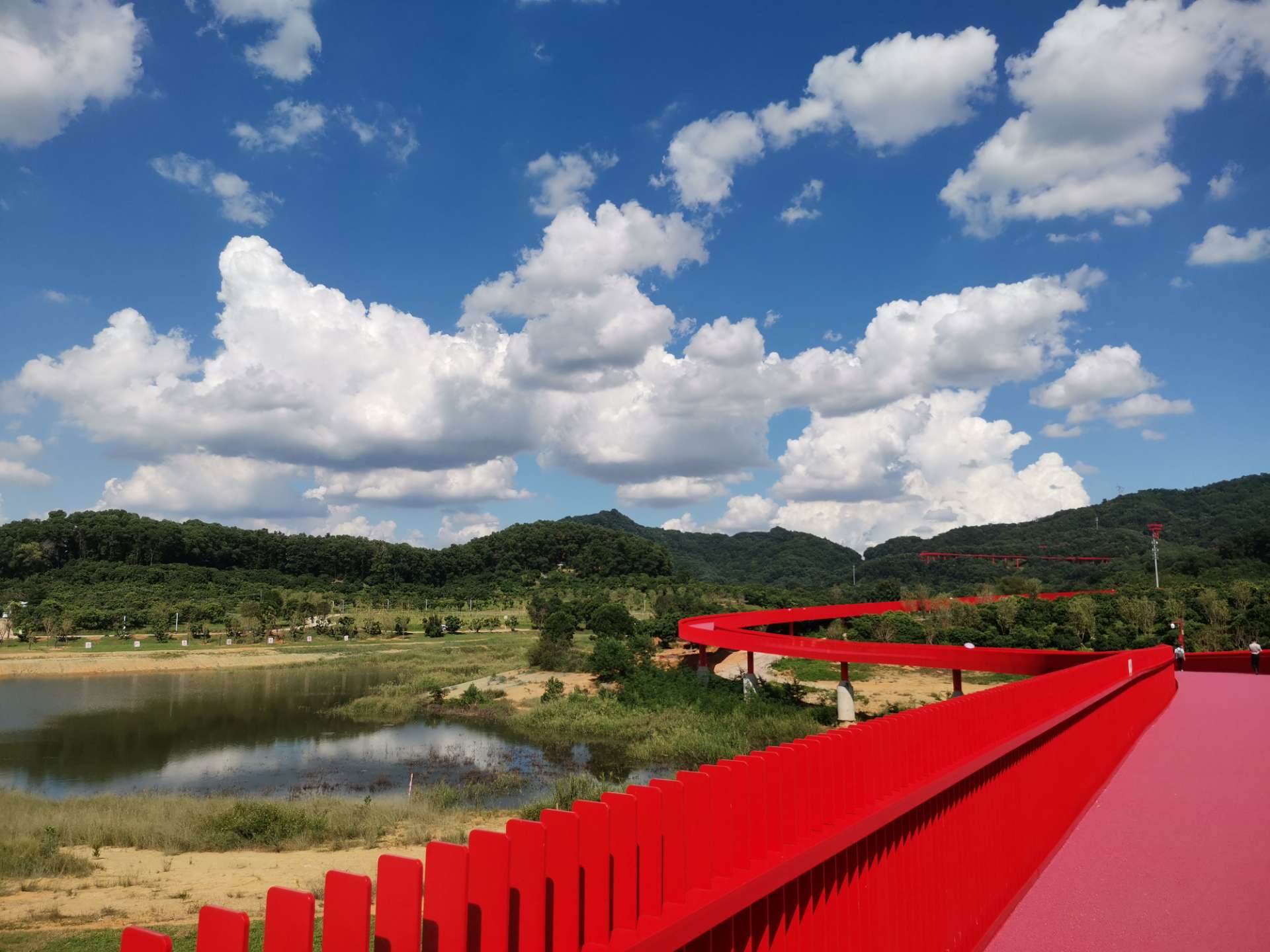 大顶岭绿道虹桥公园