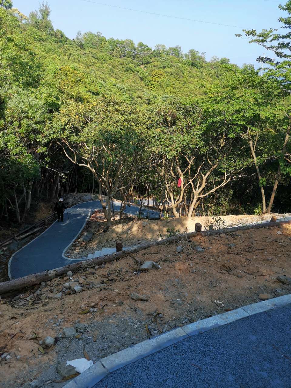 盐田半山公园带海港大厦碧桐道起点