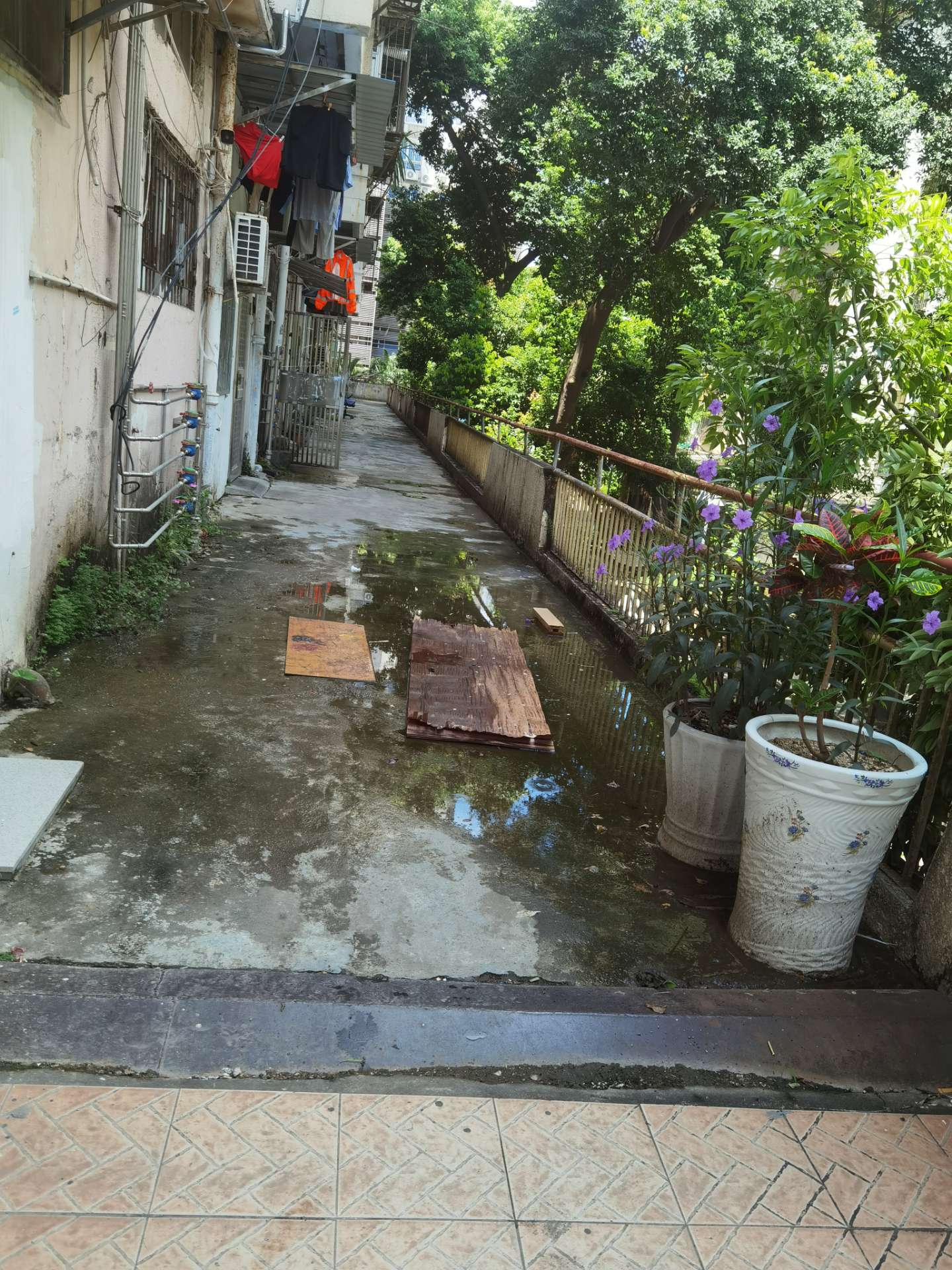 园岭新村触目惊心的危房照片深圳最大贫民窟没有之一